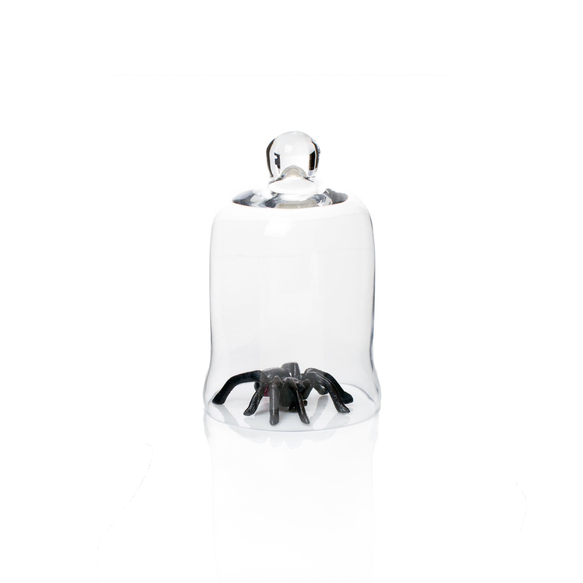 Black cast iron decorative spider under a clear glass cloche.