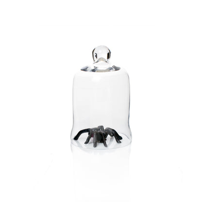 Black cast iron decorative spider under a clear glass cloche.