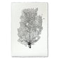 Black Sea Fan #2 wall art print on handmade Nepalese paper with deckled edges.