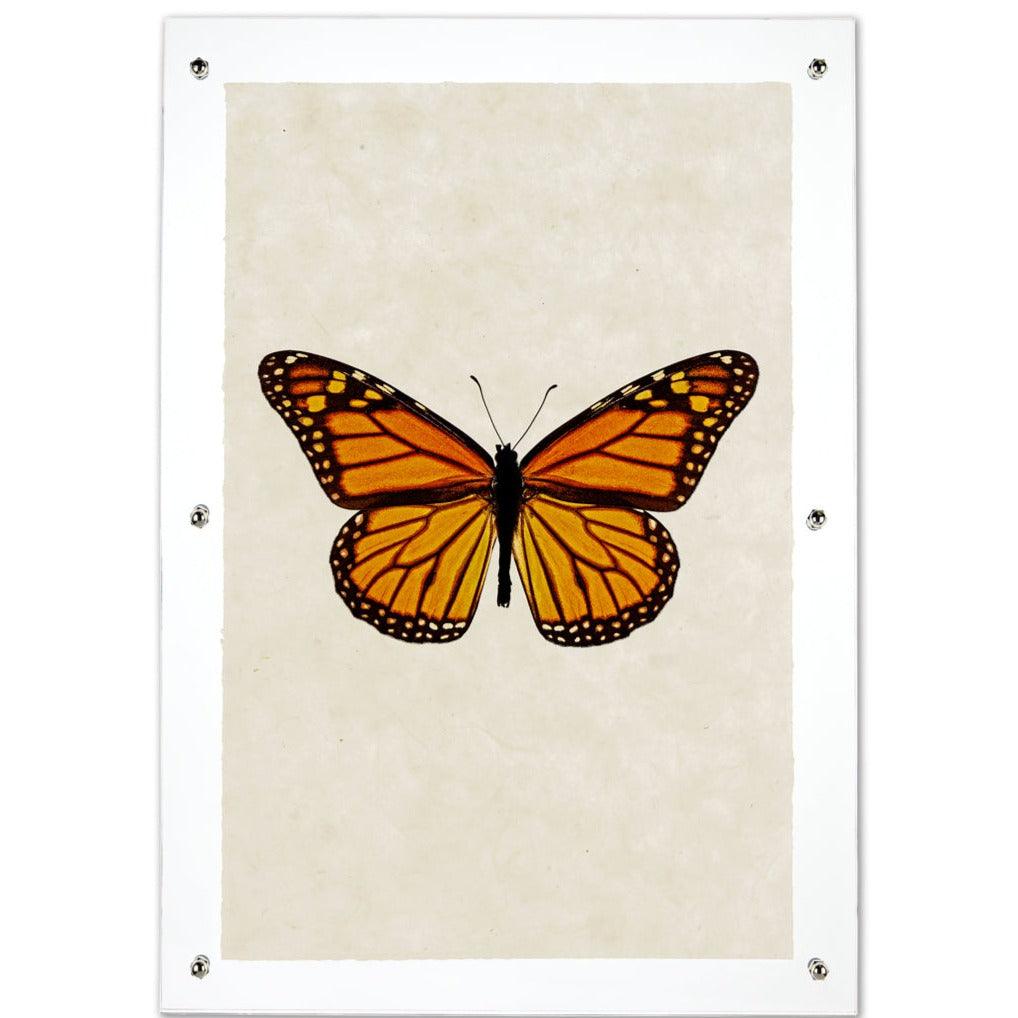 Butterfly #13 wall art print on handmade paper, featuring an orange and black monarch butterfly.