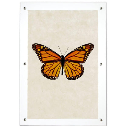 Butterfly #13 wall art print on handmade paper, featuring an orange and black monarch butterfly.