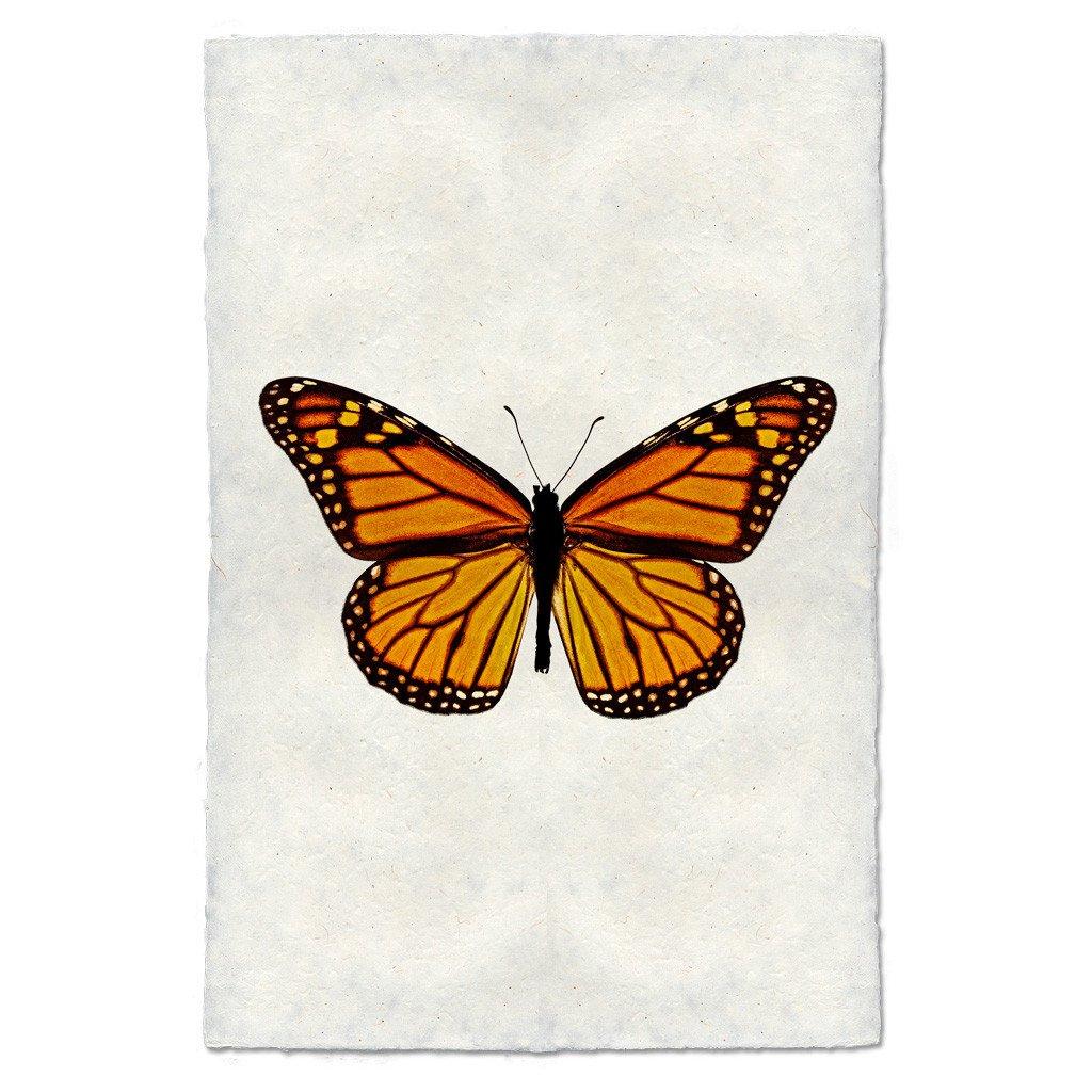 Monarch butterfly print on textured handmade paper, orange and black wings, white background.