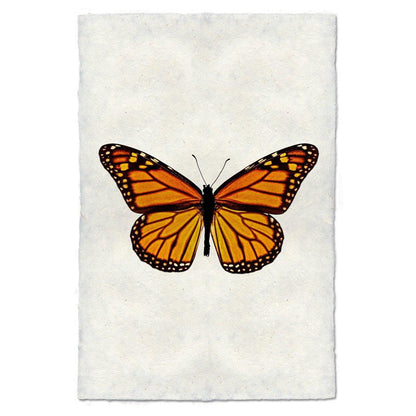 Monarch butterfly print on textured handmade paper, orange and black wings, white background.