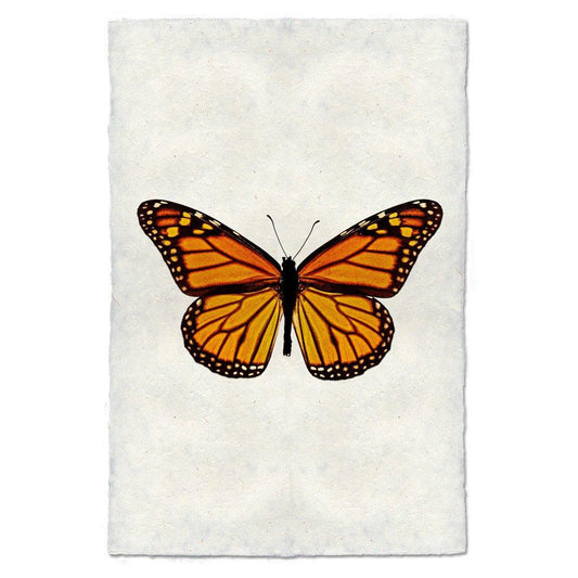 Monarch butterfly print on textured handmade paper, orange and black wings, white background.