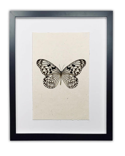 Framed Butterfly #14 black and white print on handmade paper, by Dennis and Roy.