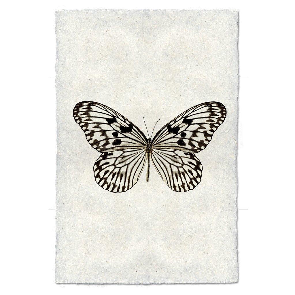 Butterfly #14 handmade paper wall art print, black and white butterfly on textured paper.