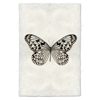 Butterfly #14 handmade paper wall art print, black and white butterfly on textured paper.