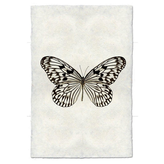 Butterfly #14 handmade paper wall art print, black and white butterfly on textured paper.