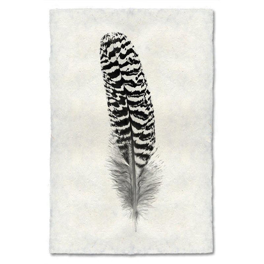 Feather study handmade paper wall art print 40"x60"
