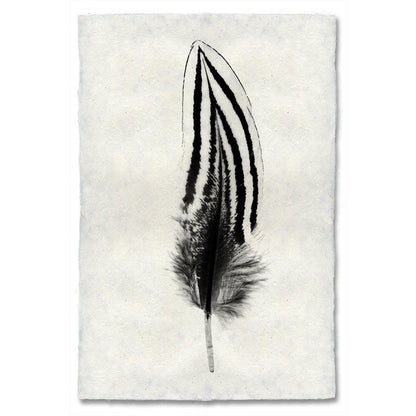 Silver Pheasant Feather Study #2 Handmade Paper Wall Art Print