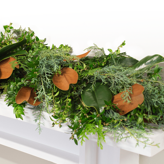 Pine Boxwood Magnolia leaves christmas garland texture natural