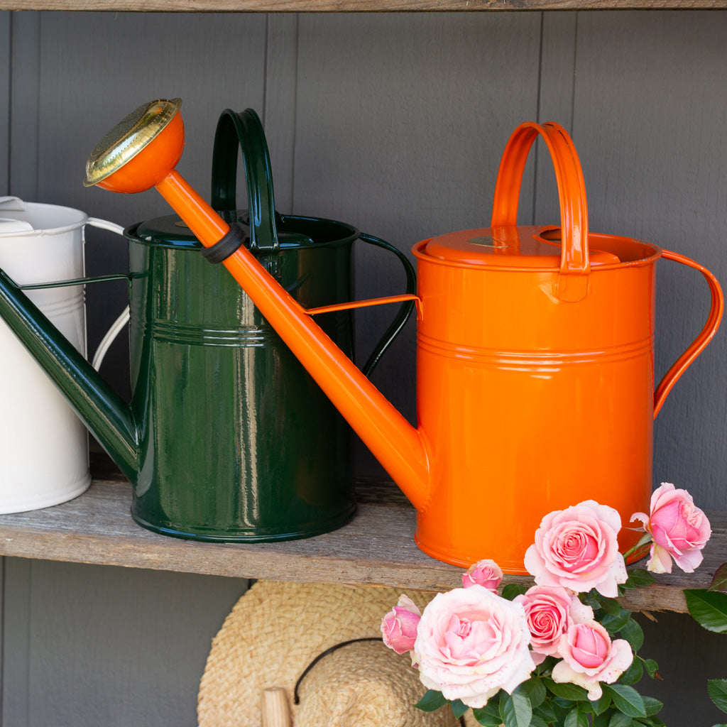 Orange 9-liter zinc watering can with a long spout, next to green and white cans, with pink roses.