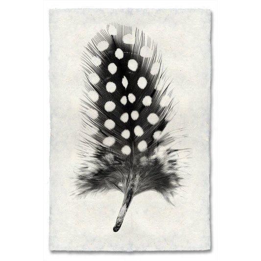 Black and white Guinea Fowl feather print on textured Nepalese handmade paper wall art.
