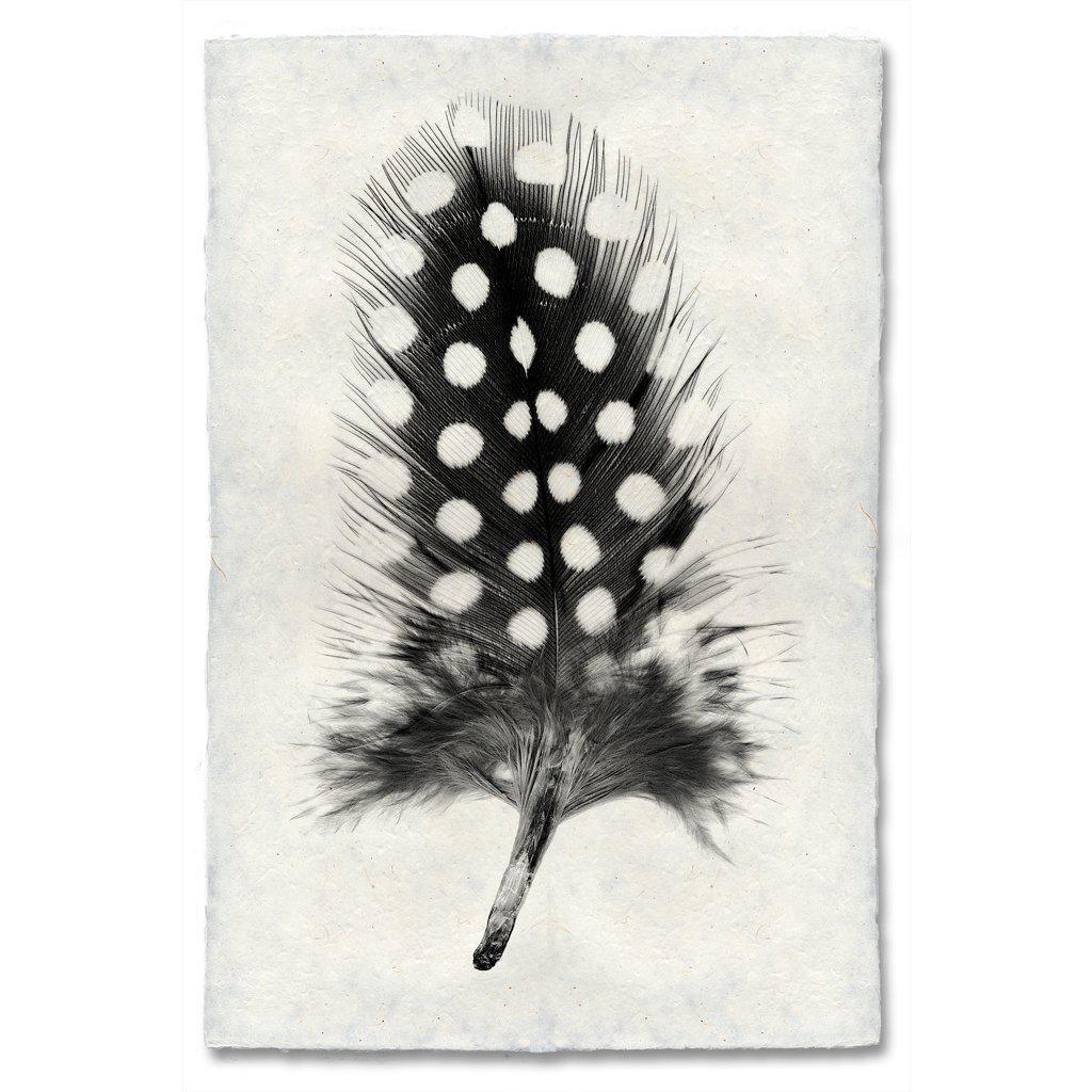 Black and white Guinea Fowl feather print on textured Nepalese handmade paper wall art.