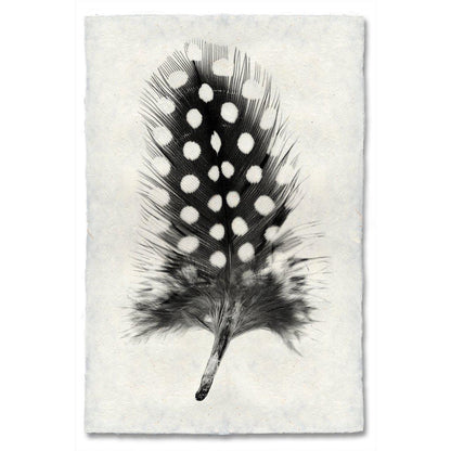 Black and white Guinea Fowl feather print on textured Nepalese handmade paper wall art.