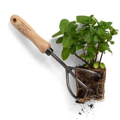 Hand-forged steel 3-tine cultivator with ash hardwood handle next to a mint plant with exposed roots.