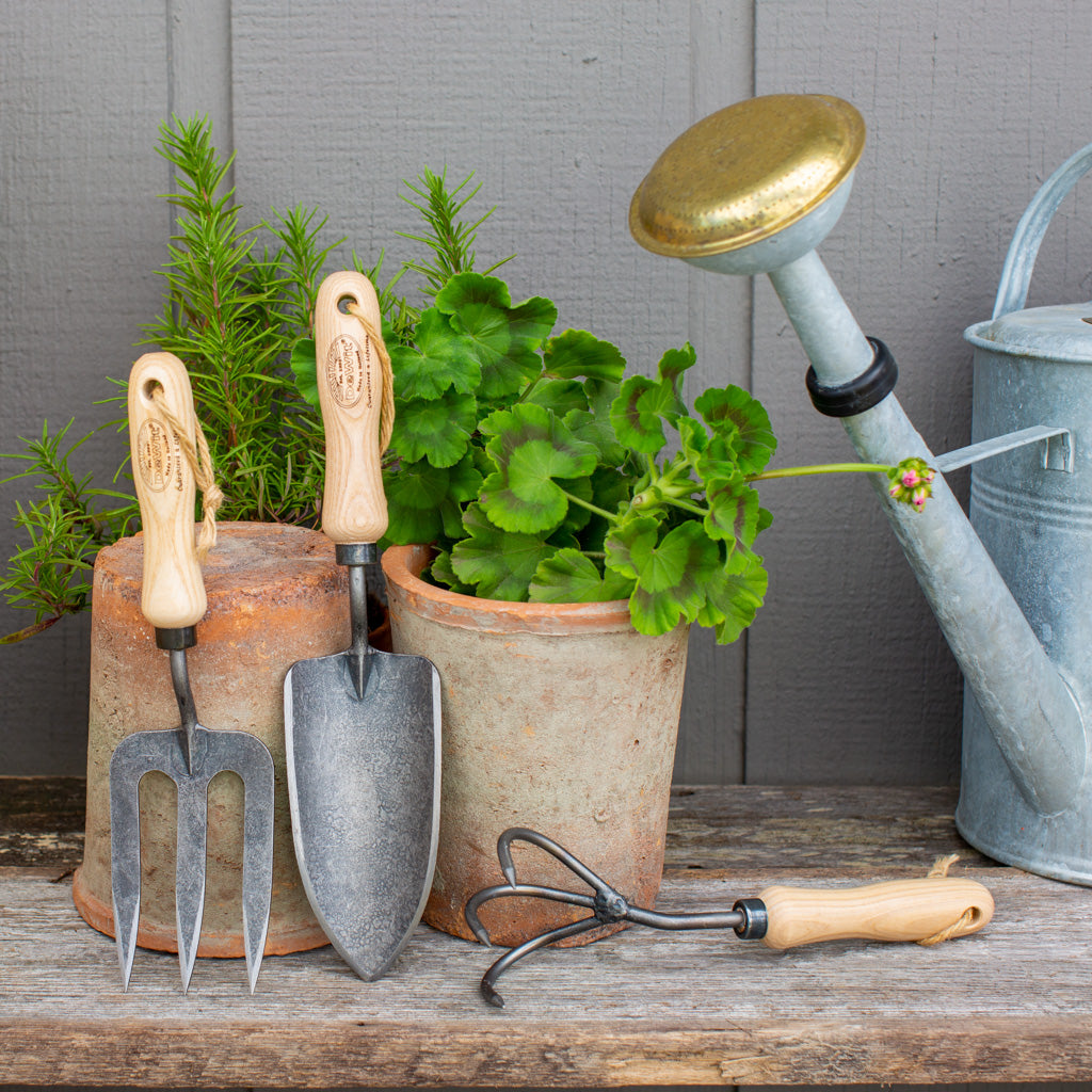Hand-forged steel and ash hardwood garden tool gift set: trowel, fork, and 3-tine cultivator, with potted plants and watering can.