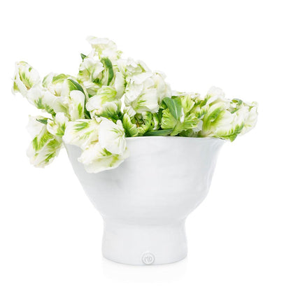 Handmade creamy white ceramic pedestal bowl by Montes Doggett, filled with green and white tulips.