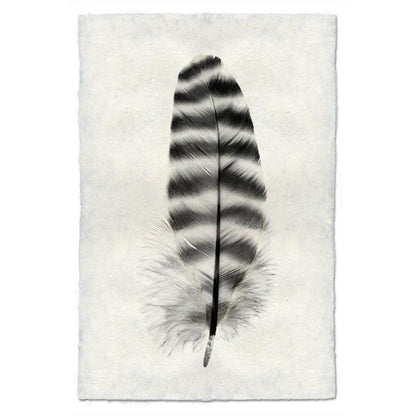 Barred Rock Hen feather print, black and white, on textured handmade Nepalese paper.
