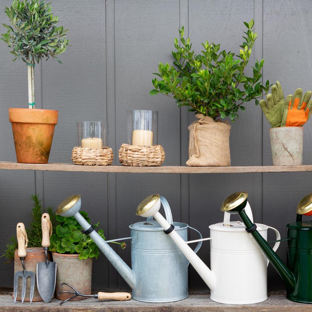 Galvanized watering cans in light blue, white, and dark green with brass accents, on a wooden shelf.
