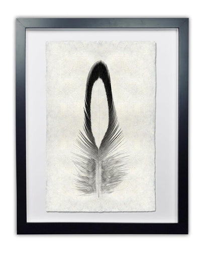 Lady Amherst Pheasant feather print on textured Nepalese handmade paper, framed in black.