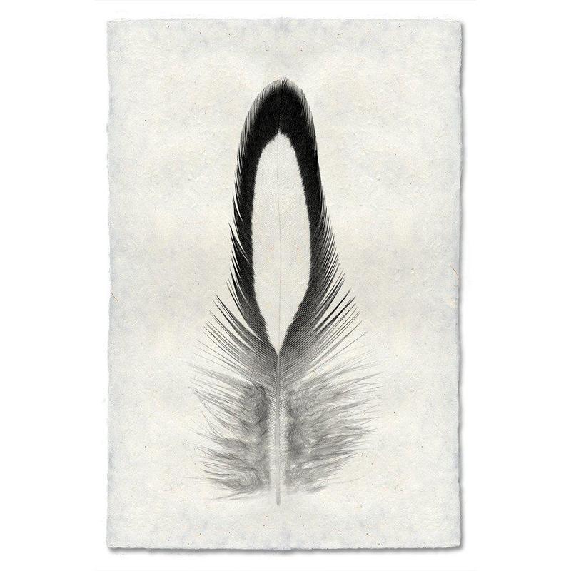 Black and white Lady Amherst Pheasant feather print on textured Nepalese handmade paper, vertical orientation.