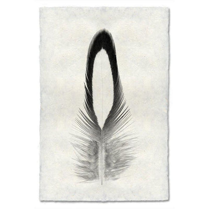 Black and white Lady Amherst Pheasant feather print on textured Nepalese handmade paper, vertical orientation.