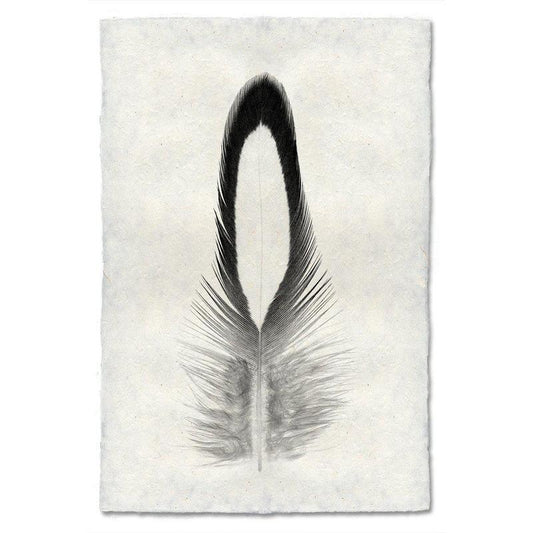 Black and white Lady Amherst Pheasant feather print on textured Nepalese handmade paper, vertical orientation.