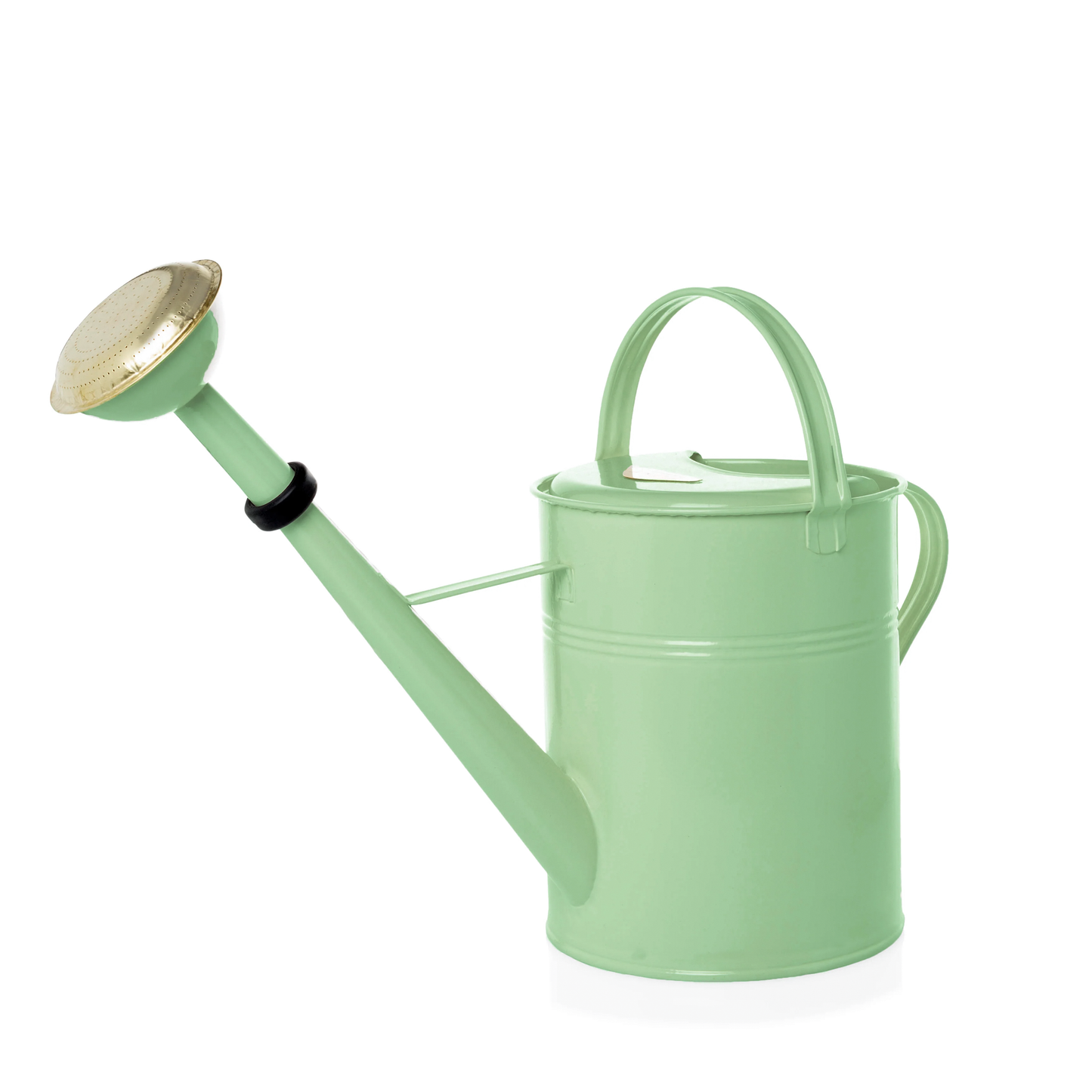 Danish Pistachio Green Zinc Watering Can, 9 Liter