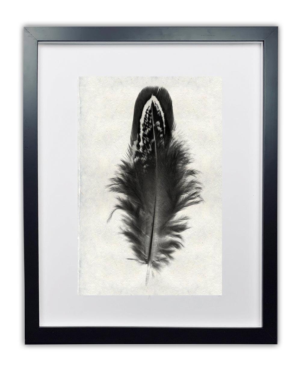 Mallard duck feather print on handmade Nepalese paper, framed in black.