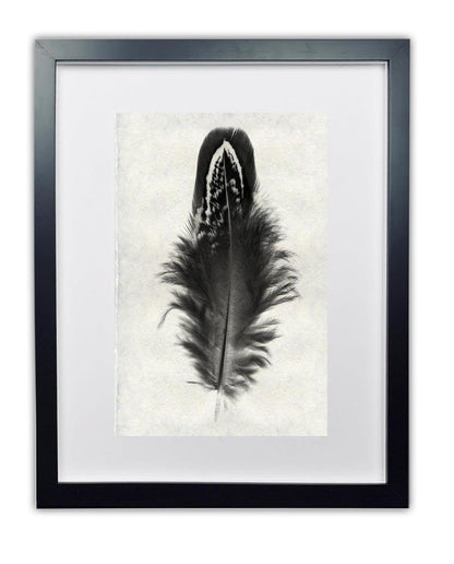Mallard duck feather print on handmade Nepalese paper, framed in black.