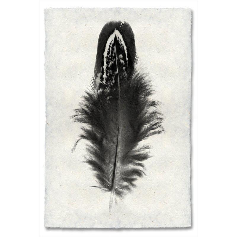 Mallard Duck feather print on handmade Nepalese paper, black and white, worn look, traditional and modern style.
