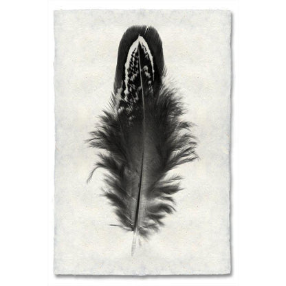 Mallard Duck feather print on handmade Nepalese paper, black and white, worn look, traditional and modern style.