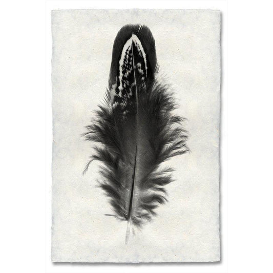 Mallard Duck feather print on handmade Nepalese paper, black and white, worn look, traditional and modern style.