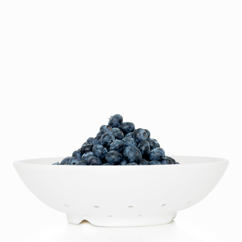 Hudson Grace White Ceramic Berry Bowl with blueberries