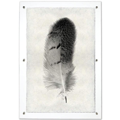 Black and white owl feather print on textured Nepalese handmade paper, mounted on a white board.