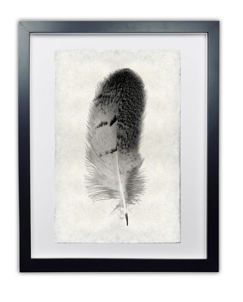Framed black and white owl feather print on textured Nepalese handmade paper, black frame.