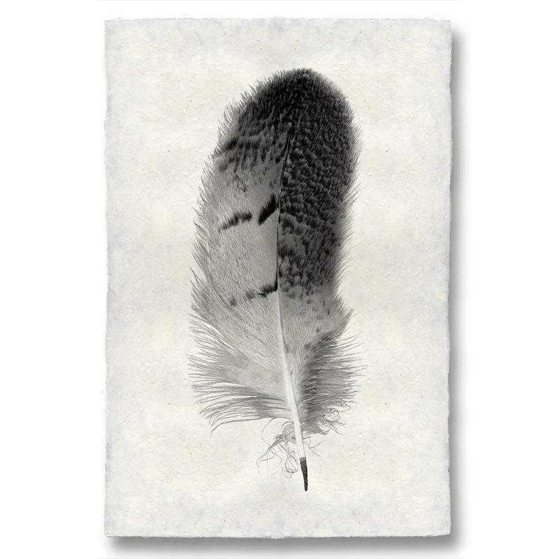Black and white owl feather print on textured Nepalese handmade paper, "Owl Feather Study #7" wall art.