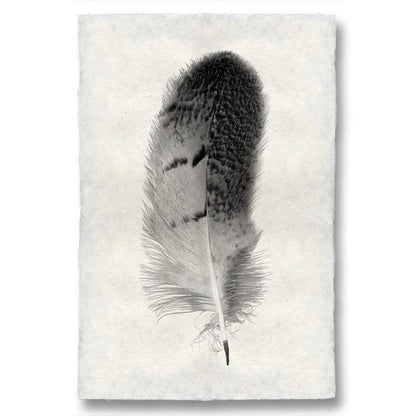 Black and white owl feather print on textured Nepalese handmade paper, "Owl Feather Study #7" wall art.