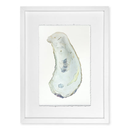 Oyster Study framed handmade paper wall art print 9"x14"