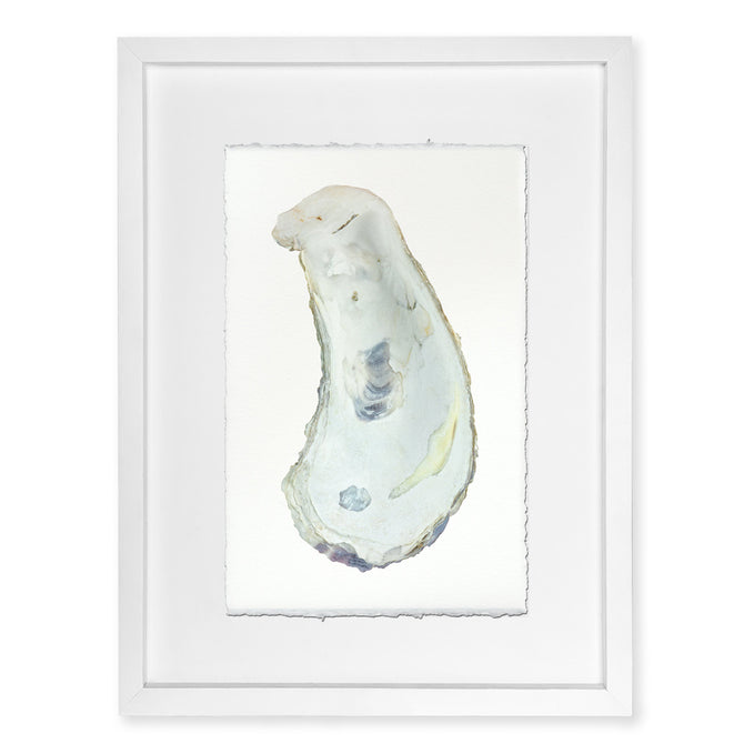 Oyster Study framed handmade paper wall art print 9"x14"