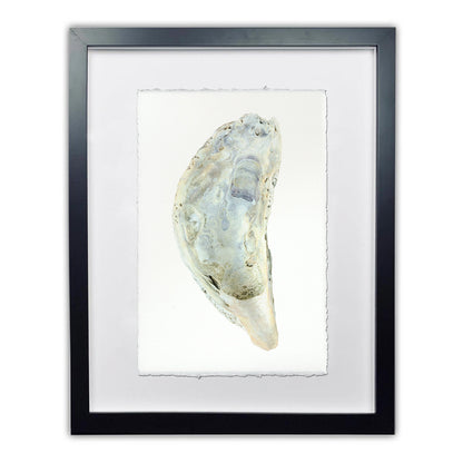 Oyster study framed handmade paper wall art print 9"x14"