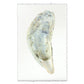 Oyster study handmade paper wall art print 40"x60"
