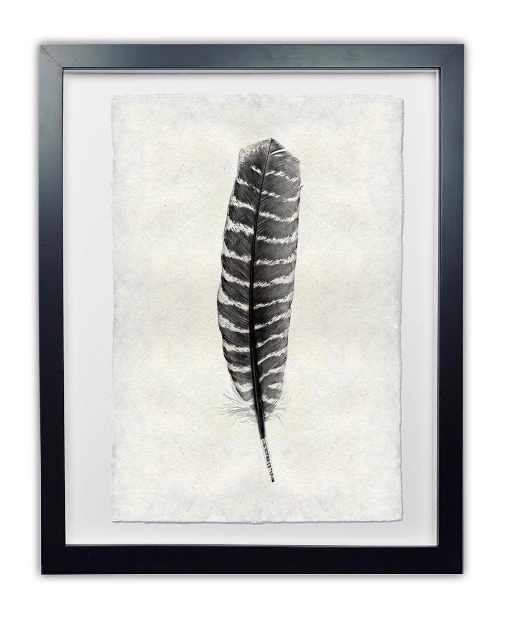 Framed Chukar Partridge feather print on handmade Nepalese paper, black and white, modern wall art.