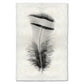 Black and white Chukar Partridge feather print on textured handmade Nepalese paper, modern wall art.