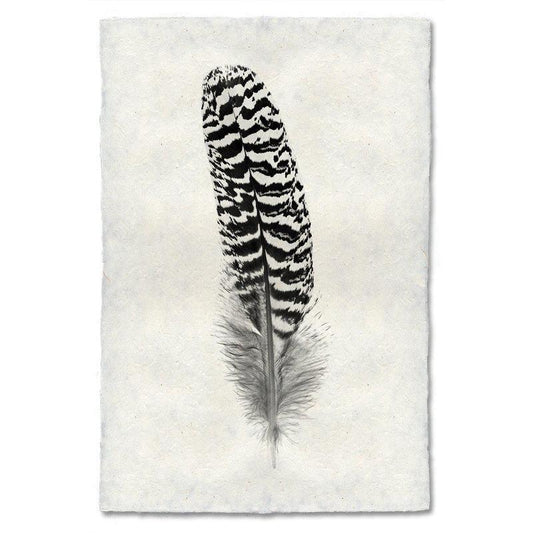 Black and white mottled peacock wing quill feather print on textured Nepalese handmade paper.