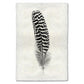 Black and white mottled peacock wing quill feather print on textured Nepalese handmade paper.