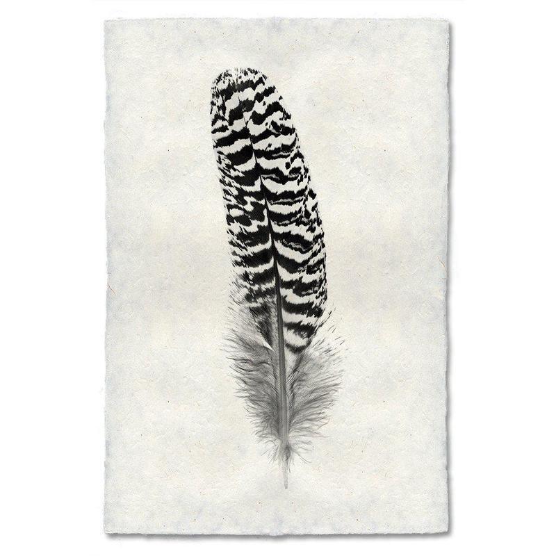 Black and white mottled peacock wing quill feather print on textured Nepalese handmade paper.