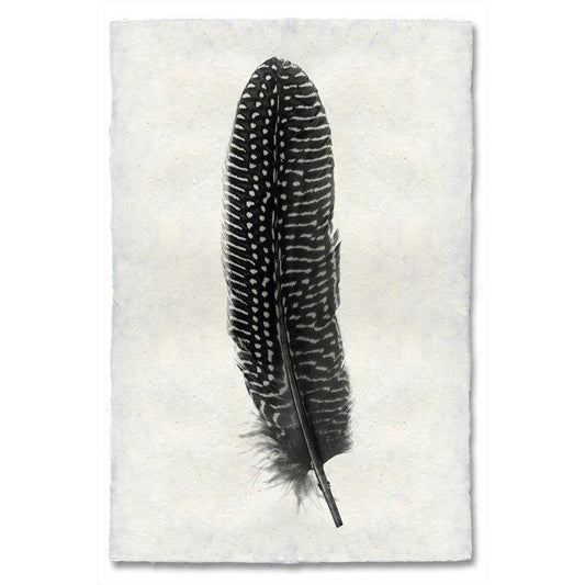 Pheasant feather print in black and white on textured handmade Nepalese paper.