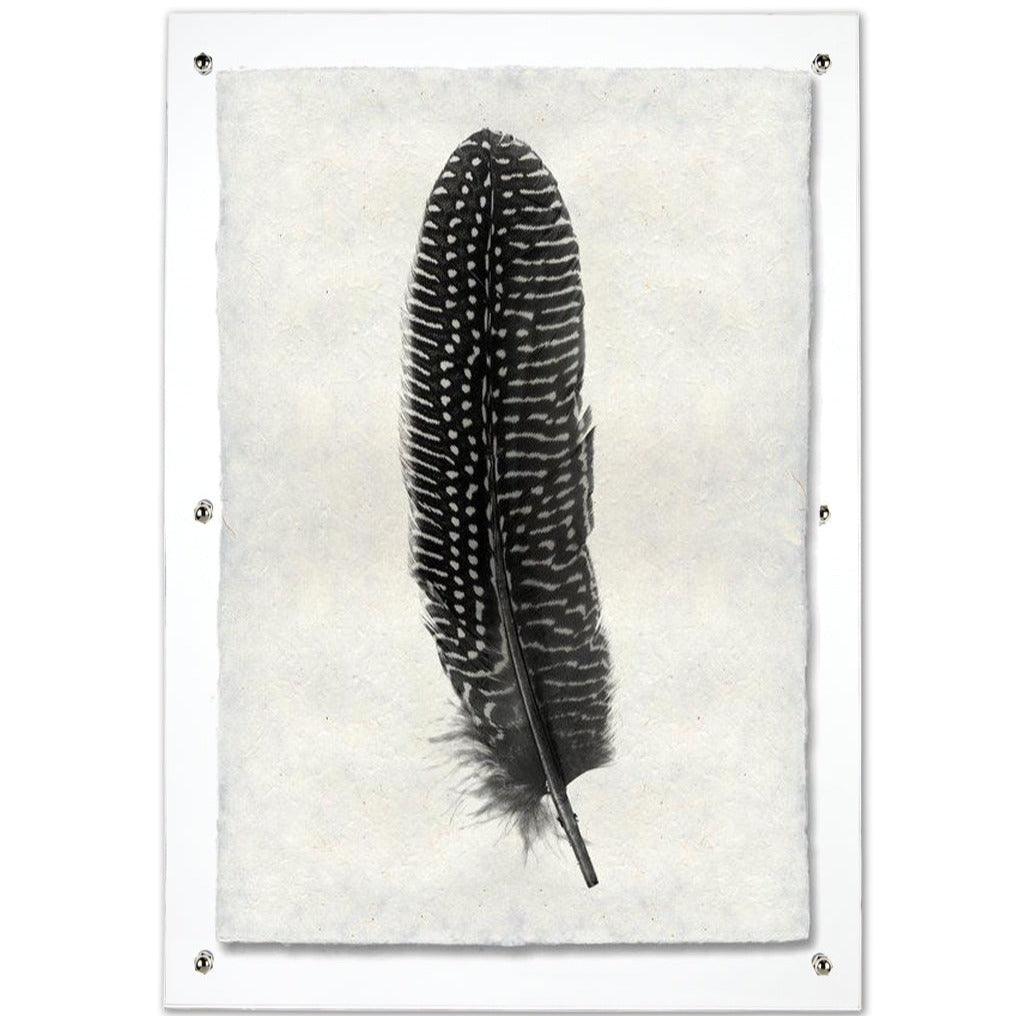 Black and white pheasant feather print on textured handmade Nepalese paper, framed in clear acrylic.